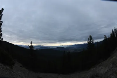 DSC_0115 (Large).JPG